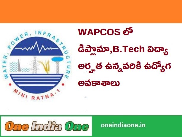 WAPCOS Recruitment 2024