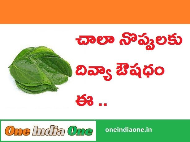 Betel Leaf Benefits