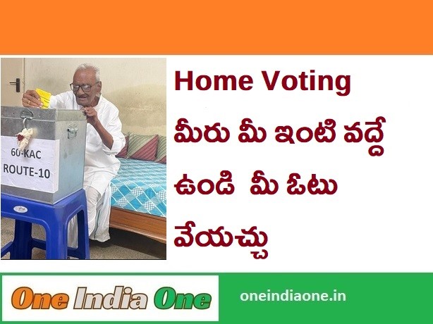 Home Voting