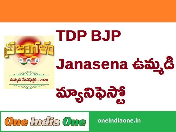 TDP Manifesto