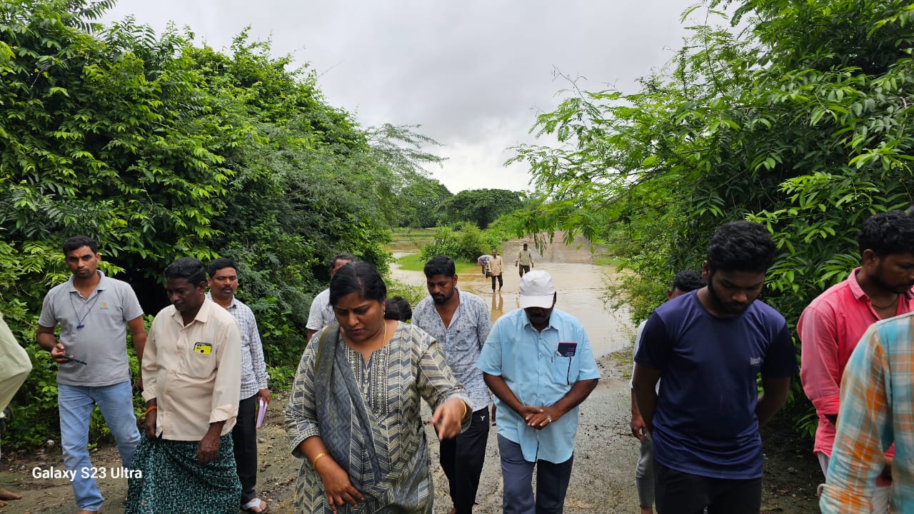 b lavanya veni ias